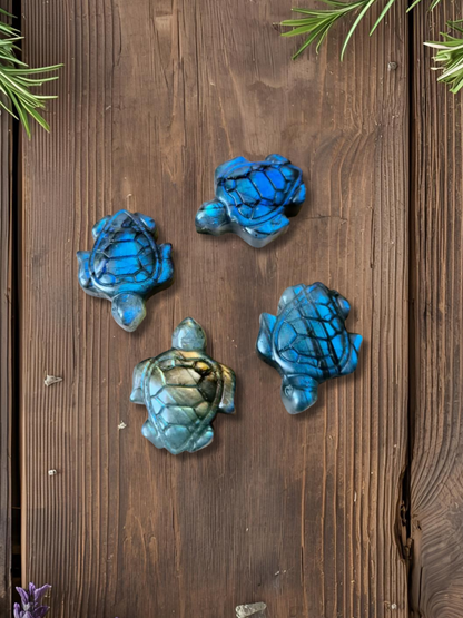 Labradorite sculptée en tortue