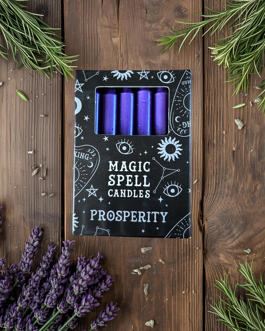Lot de 12 bougies violettes "prospérité"