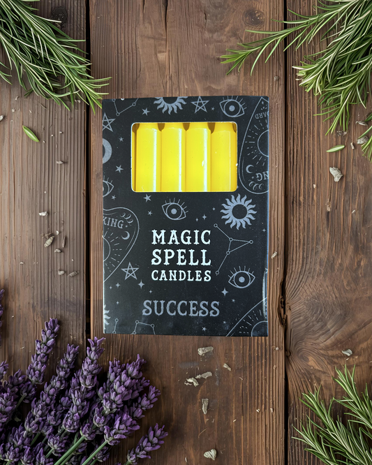 Lot de 12 bougies jaunes "succès"